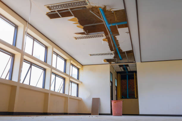 Best 24-hour water damage restoration  in Selma, CA