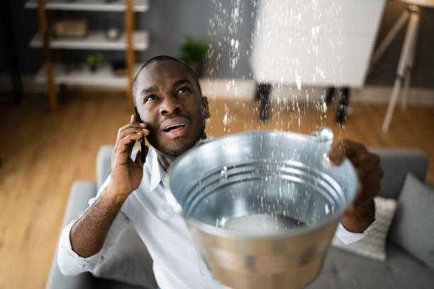 Best Flood damage cleanup  in Selma, CA