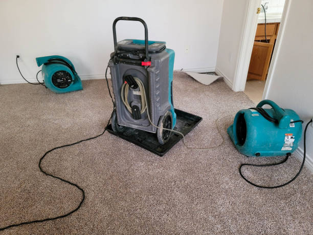 Professional Water damage restoration in Selma, CA