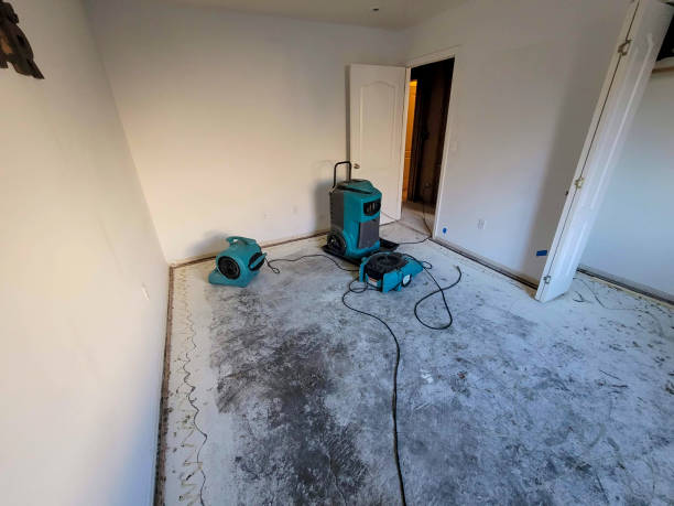 Best Water damage restoration specialists  in Selma, CA