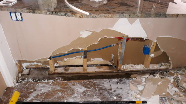 Best Water damage contractors near me  in Selma, CA