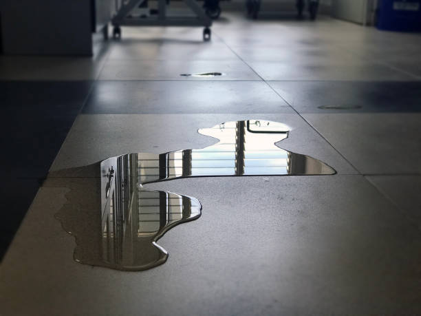 Best Carpet water damage restoration  in Selma, CA