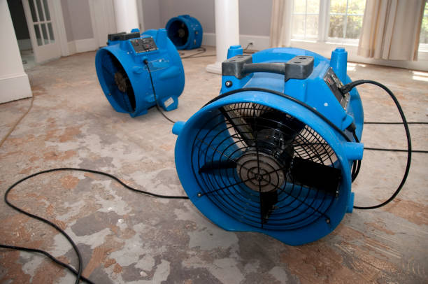 Water damage restoration mold remediation in Selma, CA