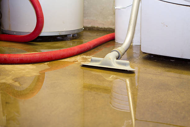 Best Water damage restoration cost  in Selma, CA