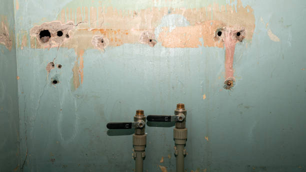  Selma, CA Water damage restoration Pros