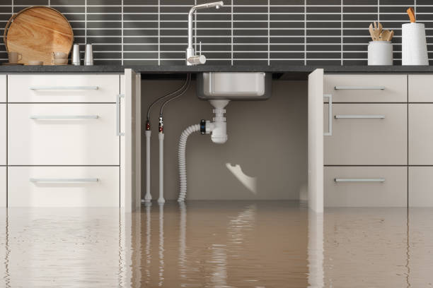 Best Flooded house restoration  in Selma, CA
