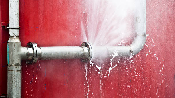 Best Water damage restoration near me  in Selma, CA